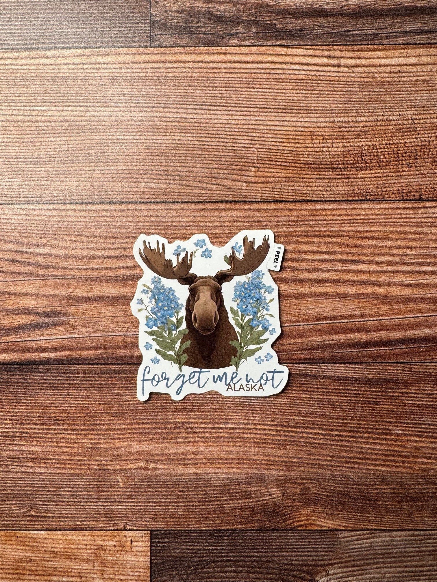 Anchor Bay Sticker