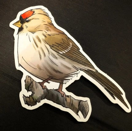 Bird Ninja Art Stickers