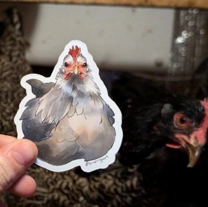 Bird Ninja Art Stickers