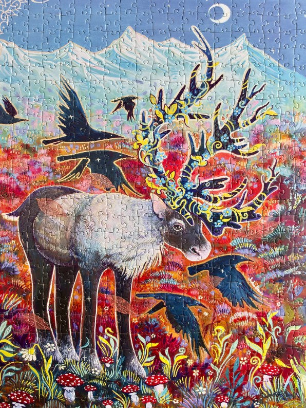 Aurora Puzzles