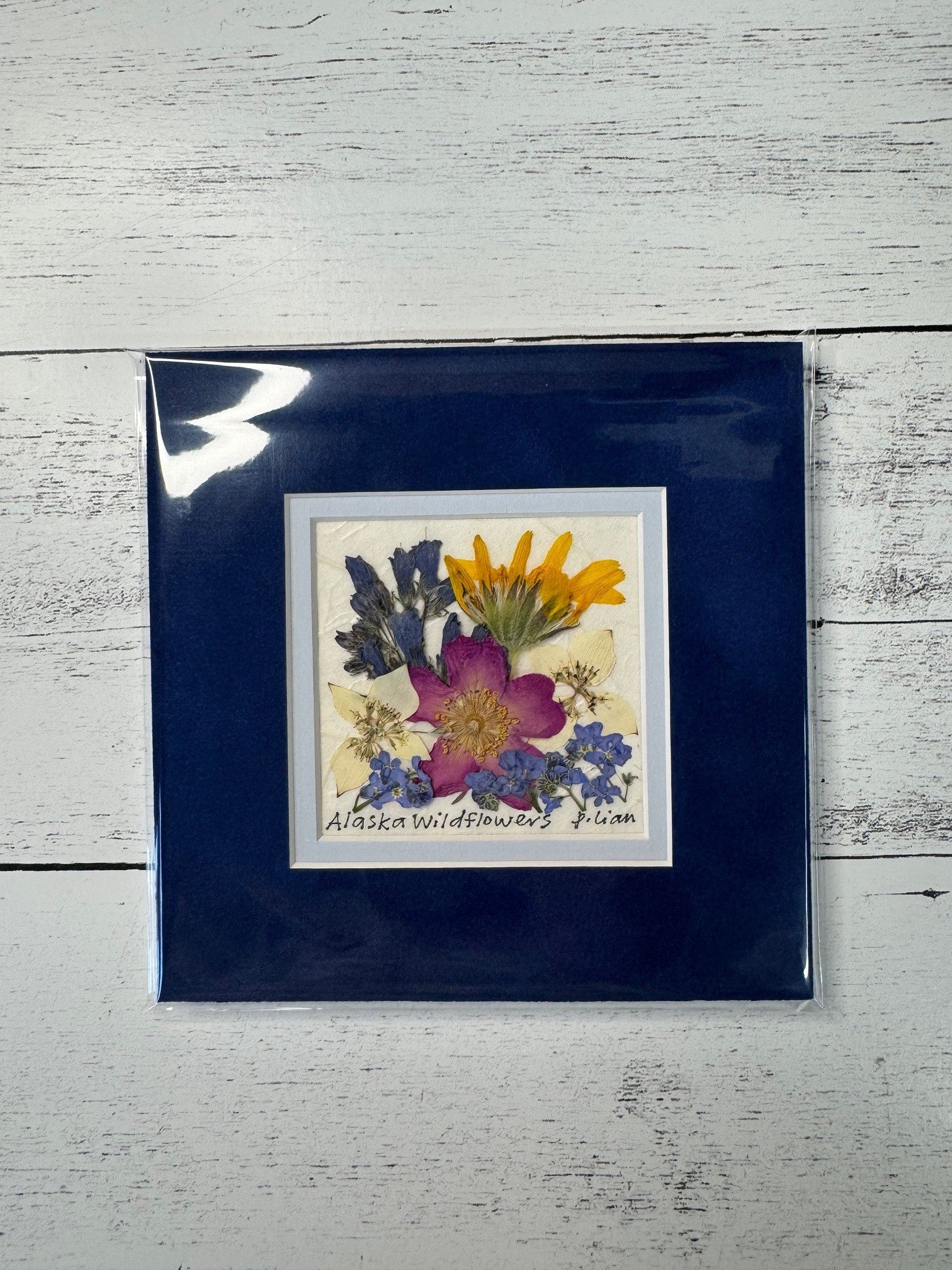 Iceworm Botanical Collection (Mini)