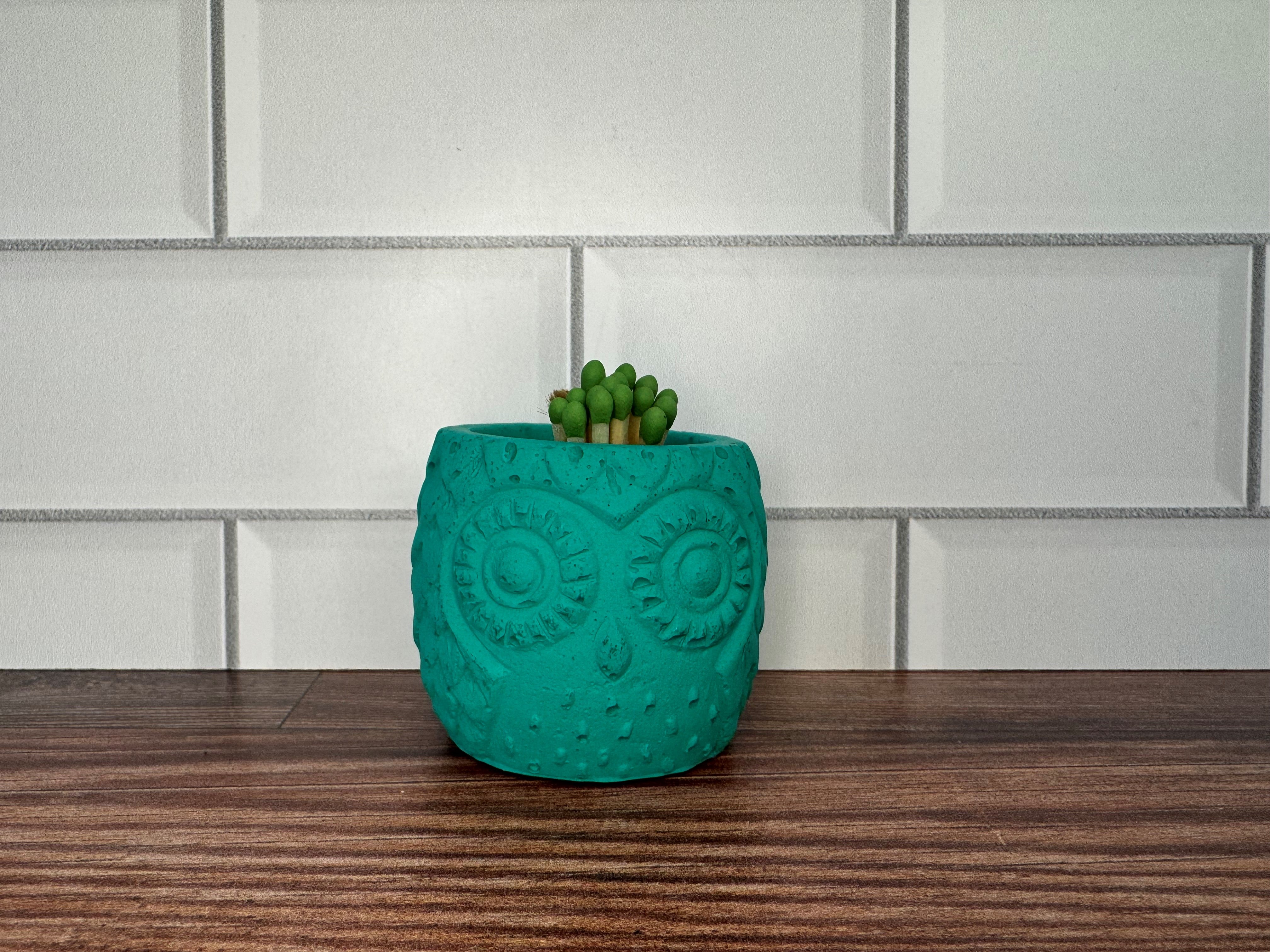 Concrete Owl Match Holder