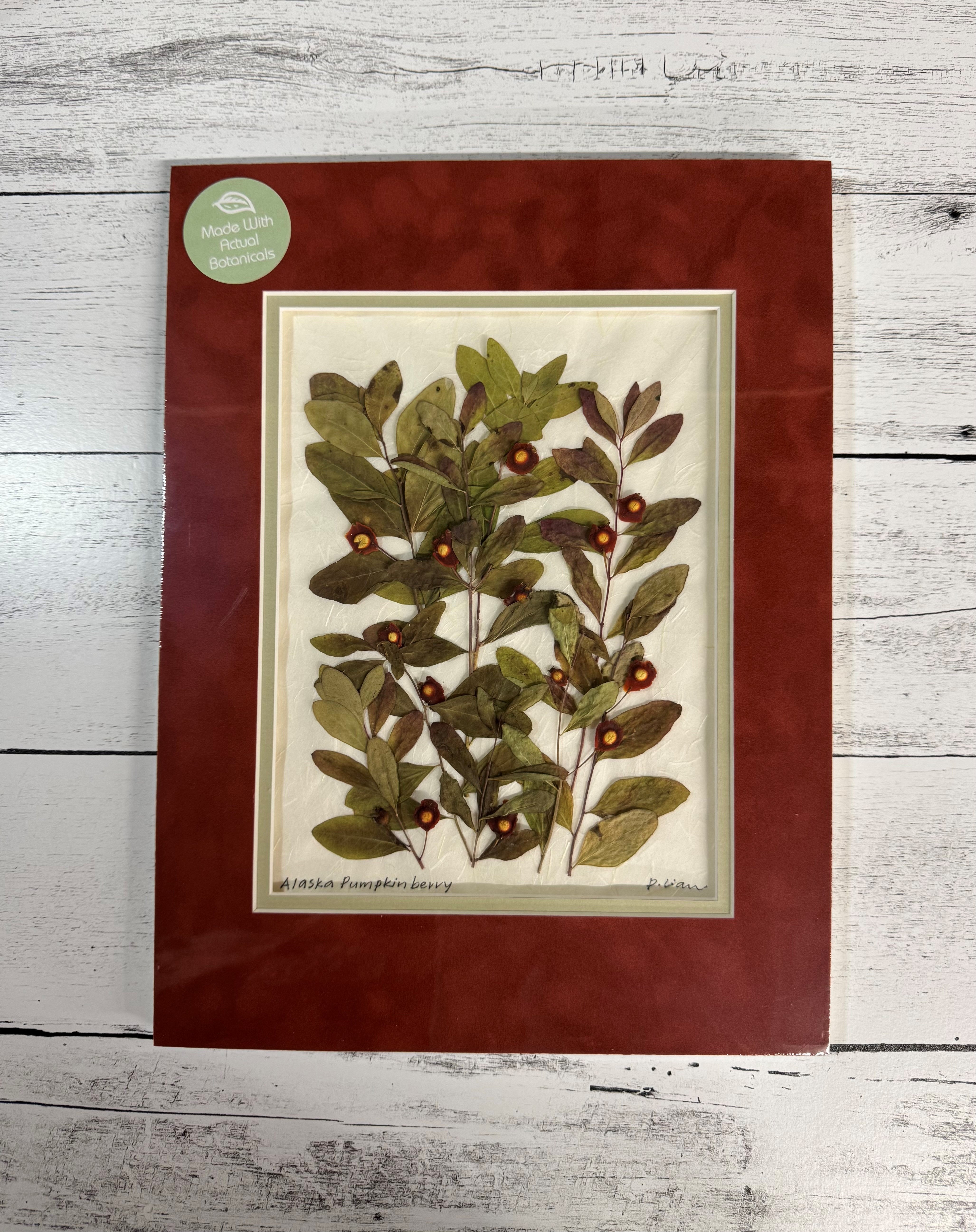 Iceworm Botanical Collection (Large)